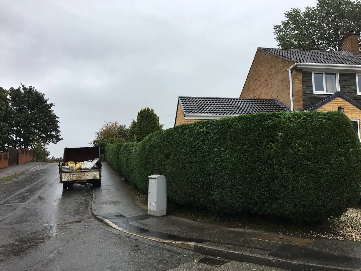 A long garden hedge neatly trimmed by AKarb Tree Surgeons in Otley