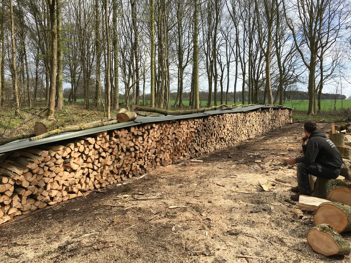Neatly stacked cut timber beside a woodland work site